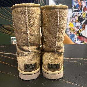 UGG - Short - Like New - 7 women’s